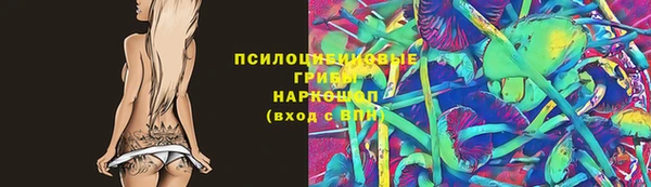 сатива Абаза