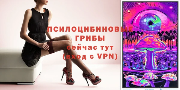 apvp Осинники
