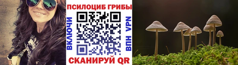 Псилоцибиновые грибы Magic Shrooms hydra сайт Нижний Новгород